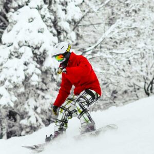 Tour Operator Liability